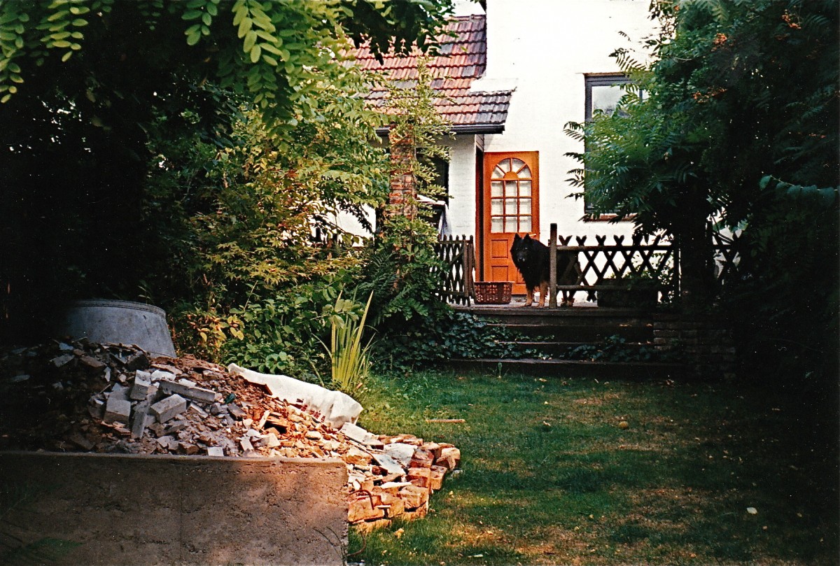 Afbeelding